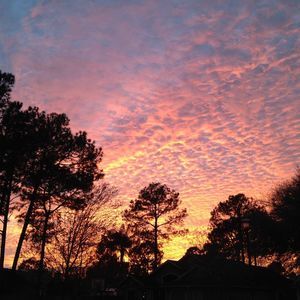 Meet your Posher, Connie